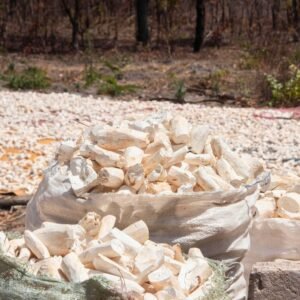 Golden brown cassava chips ready to eat