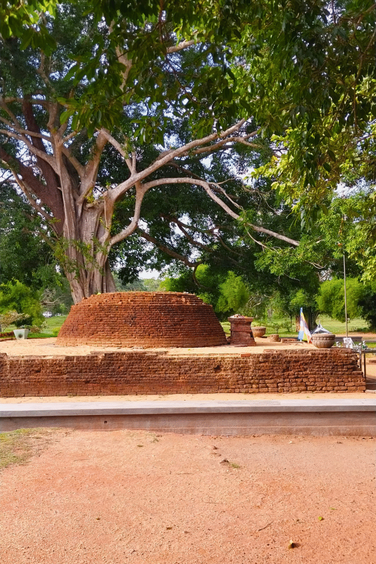 Tranquil surroundings of Sangamiththa Stupa