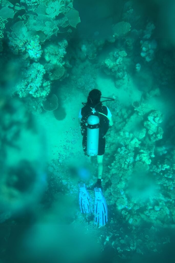 scenic underwater landscape of Sri Lankan ocean
