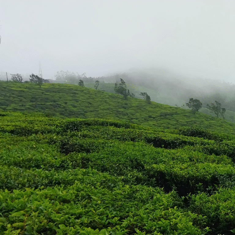 Panoramic landscape at Shanthipura highest village