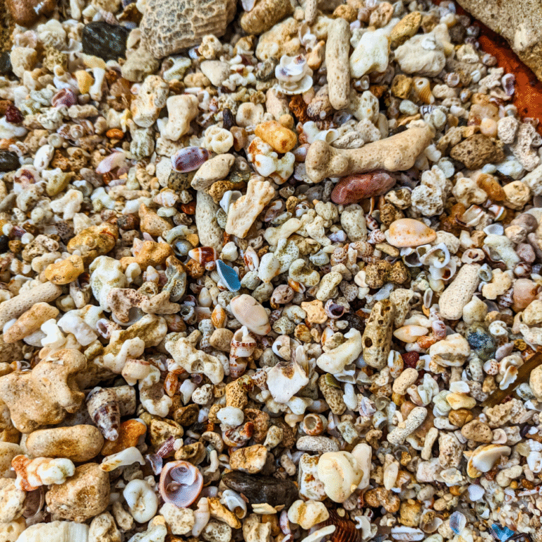 Ship Rock tourist attraction in Sri Lanka