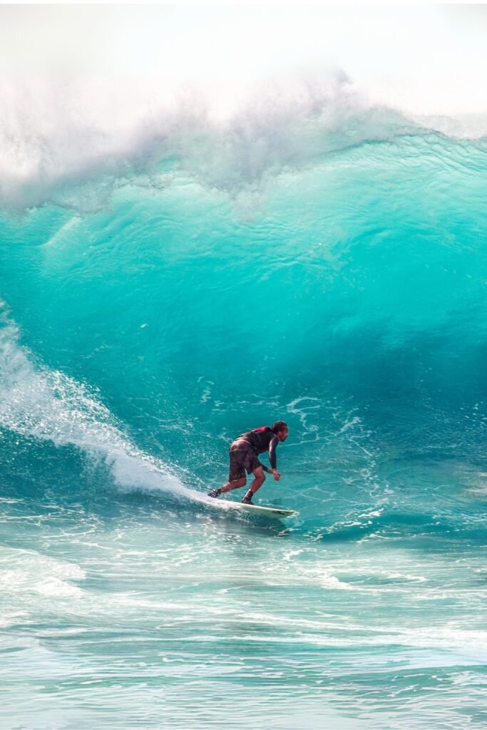 Surfboards lined up on the sandy Sri Lanka beach