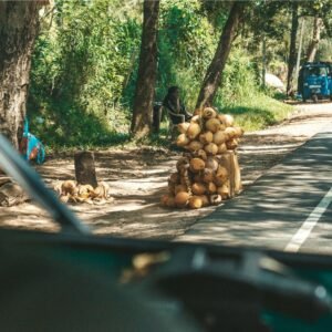 Street-side king coconut stall in Sri Lanka
