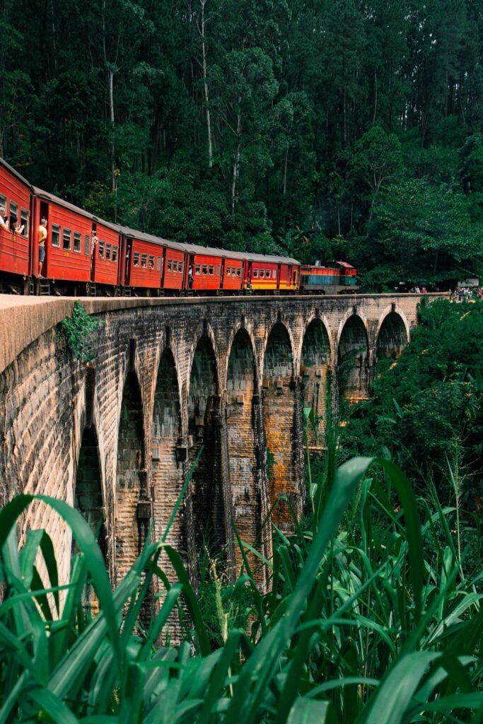 Colorful train weaving through Sri Lanka’s scenic landscapes