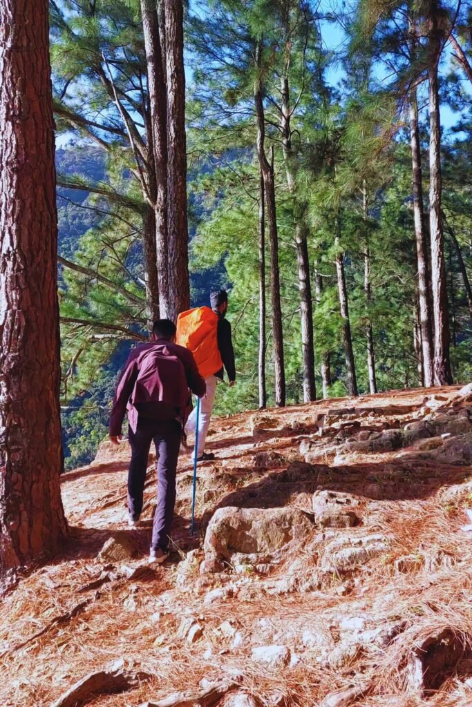 Tourists enjoying forest hiking in Sri Lanka