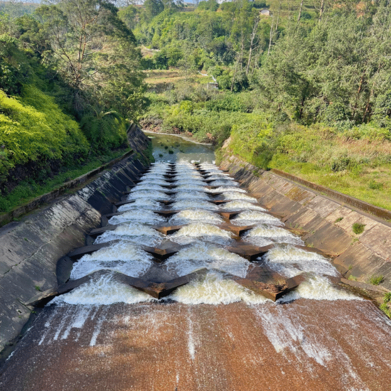 Scenic view of Ambewela Reservoir in Sri Lanka highlands