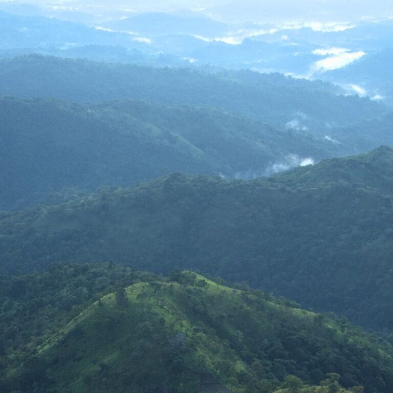 Grassland peaks of Babaragala Pathana in Sabaragamuwa