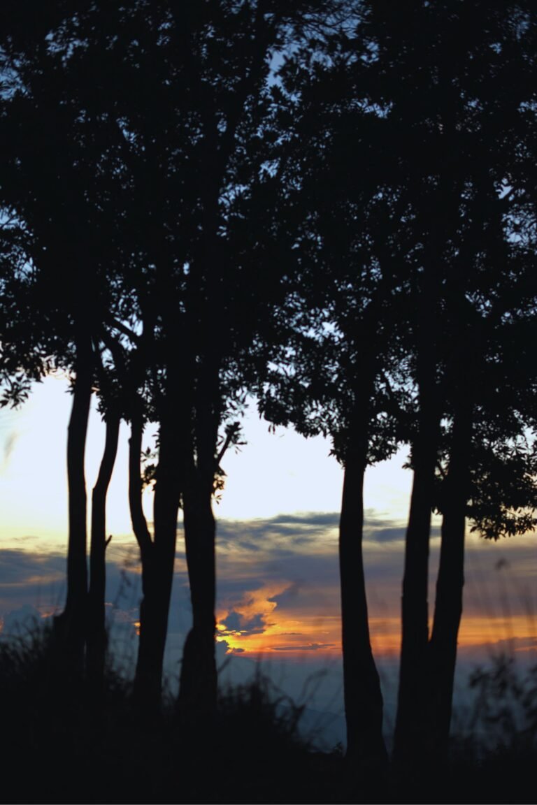Sunrise over Babaragala Pathana mountain range