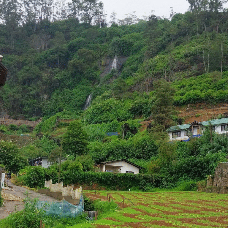 Tropical trees framing Glen Falls natural landscape