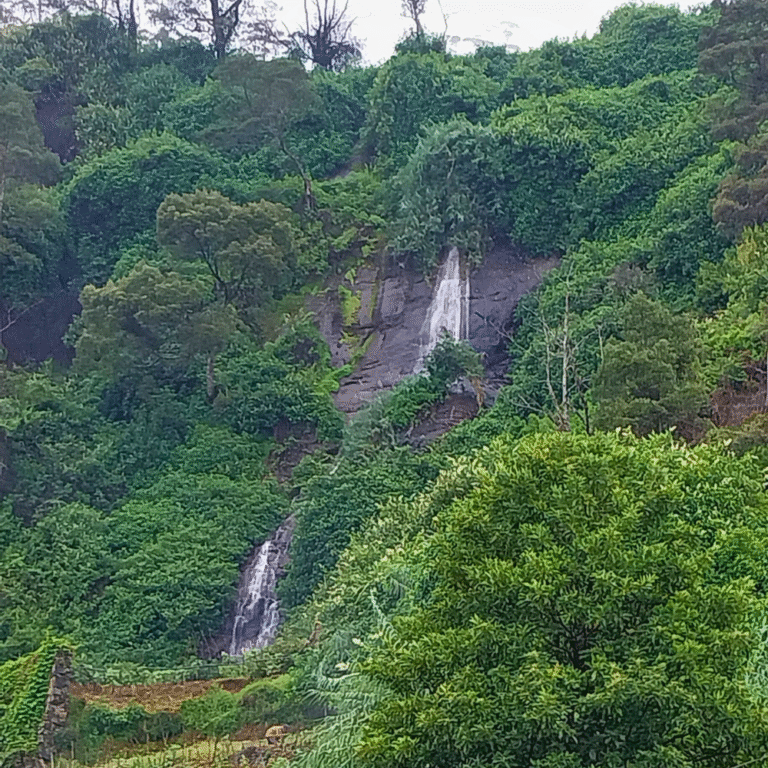 Mist rising from Glen Falls in the early morning