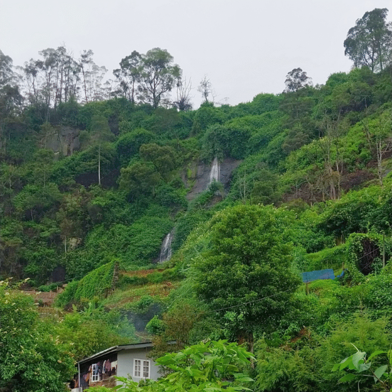 Lush tropical surroundings around Glen Falls