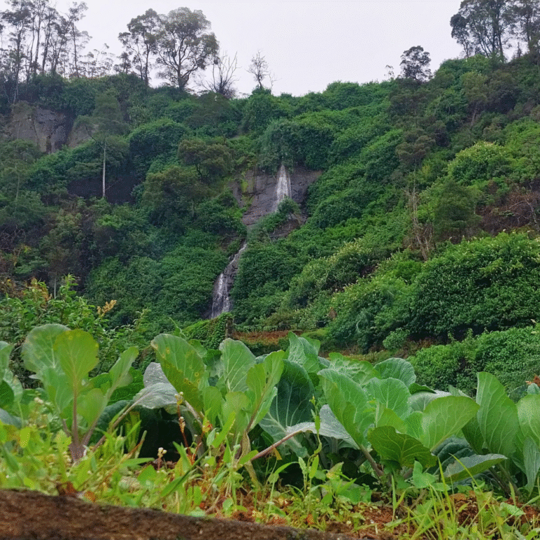 Crystal clear water flowing down Glen Falls cascade