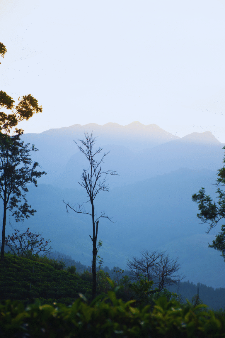misty valley seen from Hatale Mini Worlds End