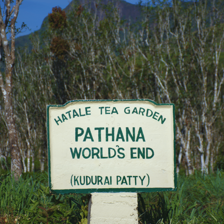 panoramic view of Hatale Mini Worlds End cliff in Sri Lanka