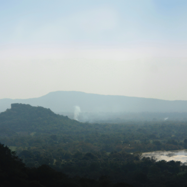 scenic landscape of Jathika Namal Uyana nature reserve