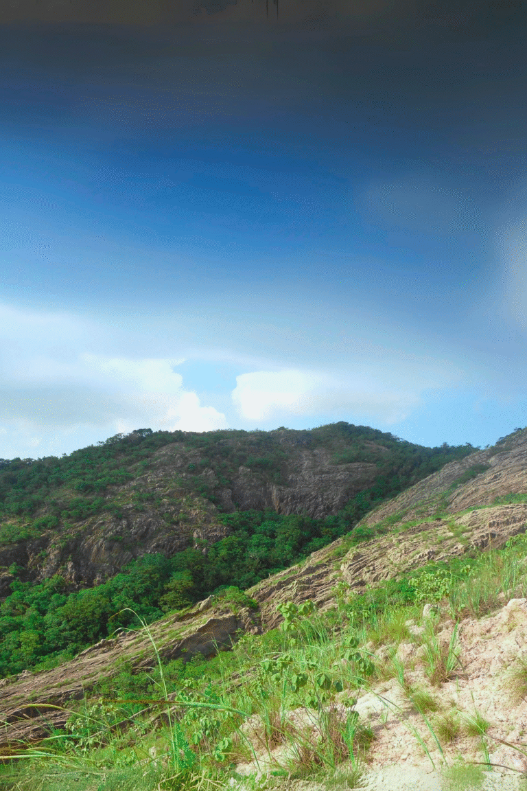hiking path leading to rose quartz hill summit