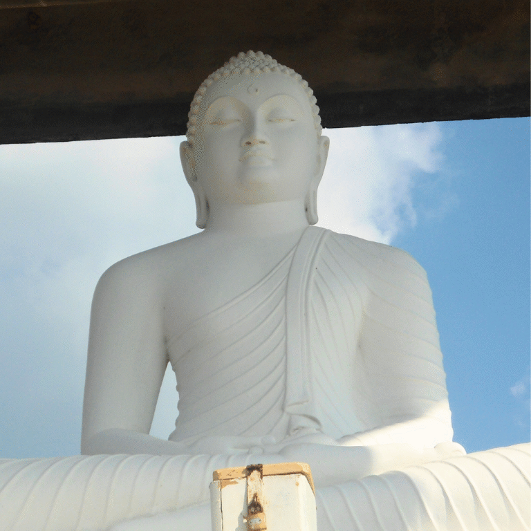 panoramic view of Jathika Namal Uyana in Sri Lanka