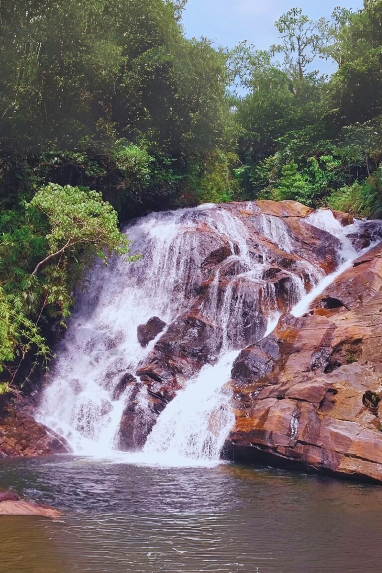 Serene nature view of Lankagama tropical forest