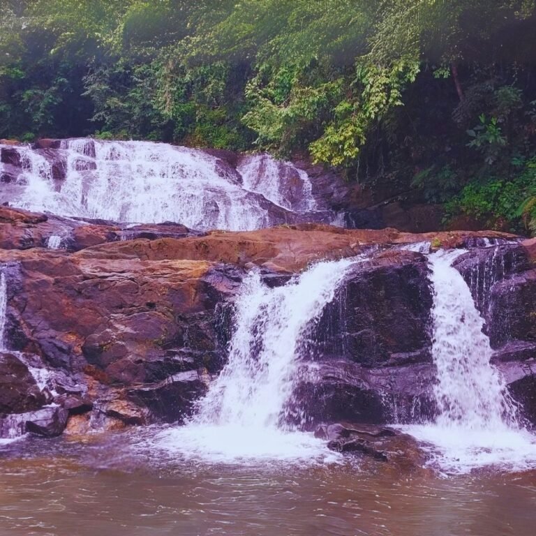 Lankagama eco-tourism experience in Sri Lanka