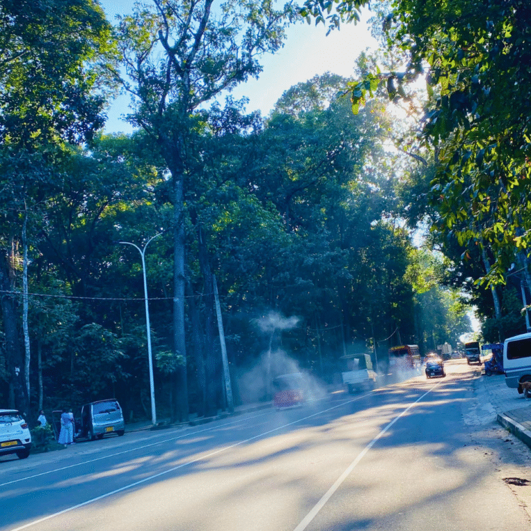 scenic walking trail surrounded by greenery in Badagamuwa