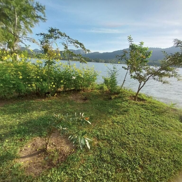 Calm waters of Mutukeliyawa Wewa reflecting the sky