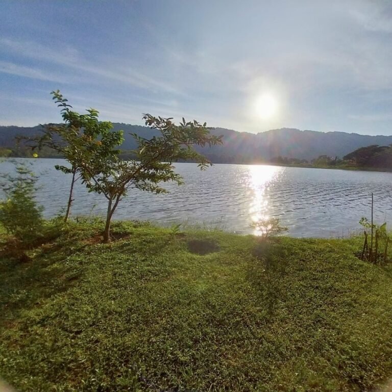 Mutukeliyawa Wewa serene lake surrounded by greenery