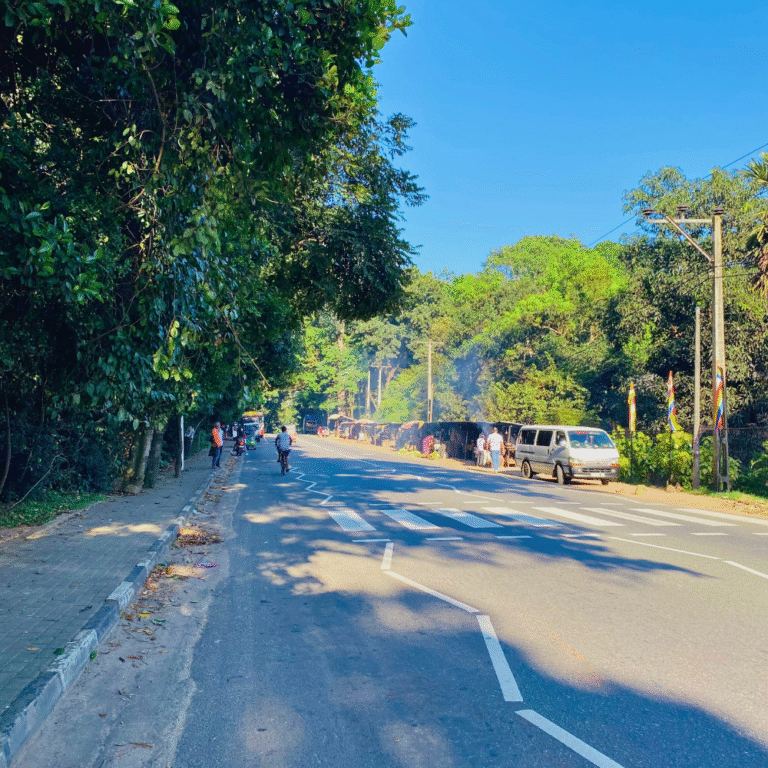 dense tropical rainforest in Badagamuwa Conservation Forest