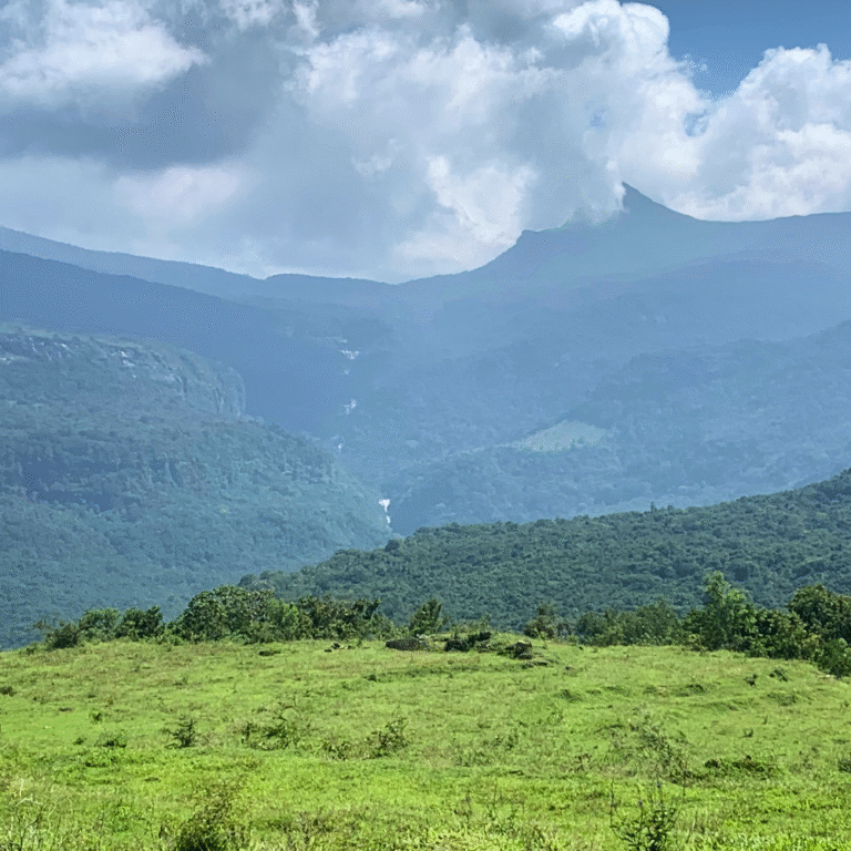 vibrant natural surroundings of Walpolamulla village
