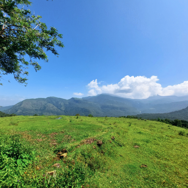 picturesque rural scenery in Walpolamulla Sri Lanka
