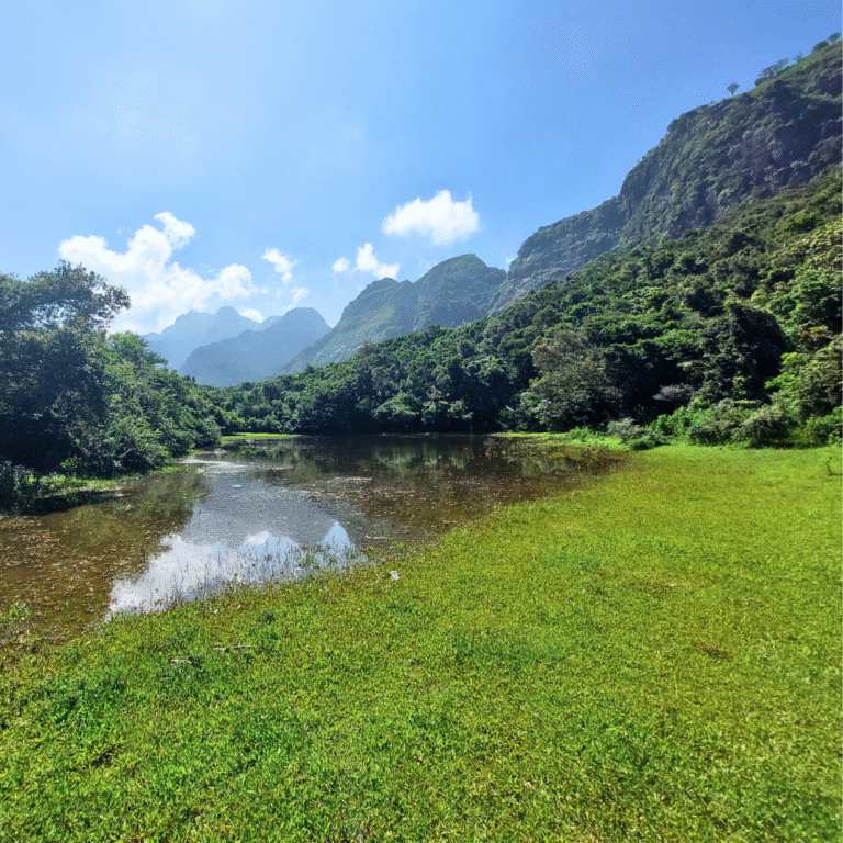 peaceful countryside landscape of Walpolamulla village