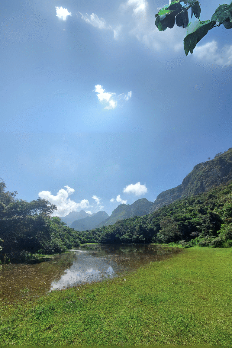 scenic view of Walpolamulla village with lush greenery