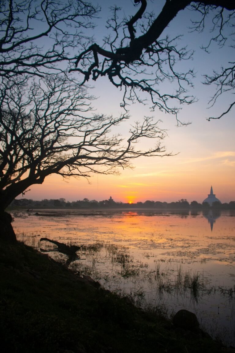 Peaceful evening at Basawakkulama tank in Sri Lanka