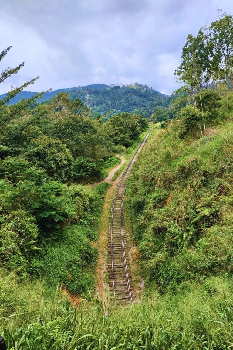 Train traveling through the hills of Demodara