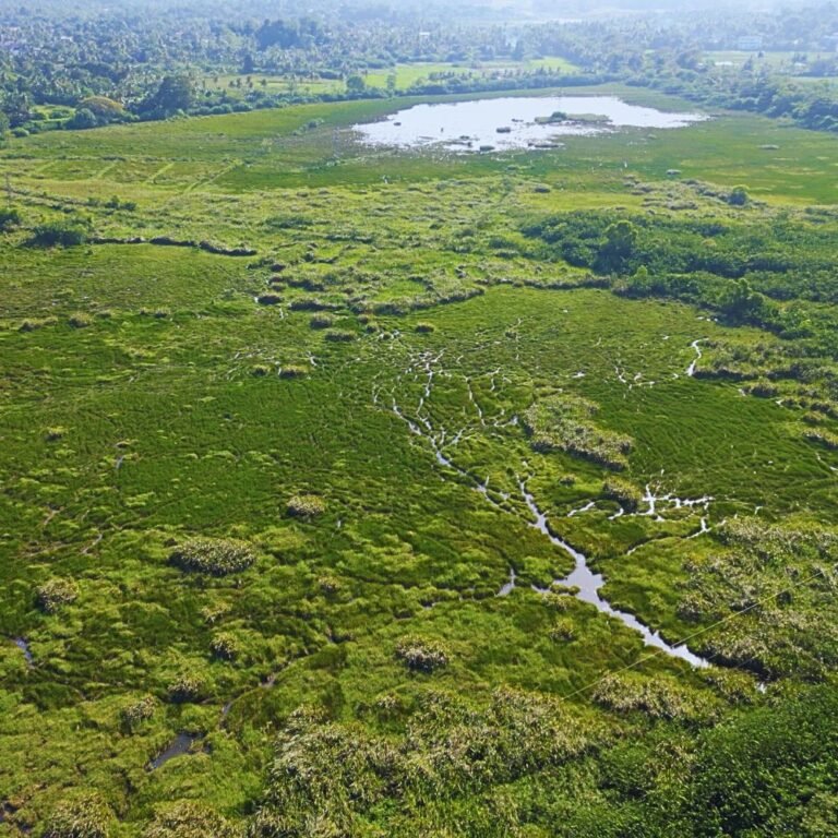 Bird watching area inside Kirala Kale sanctuary Sri Lanka