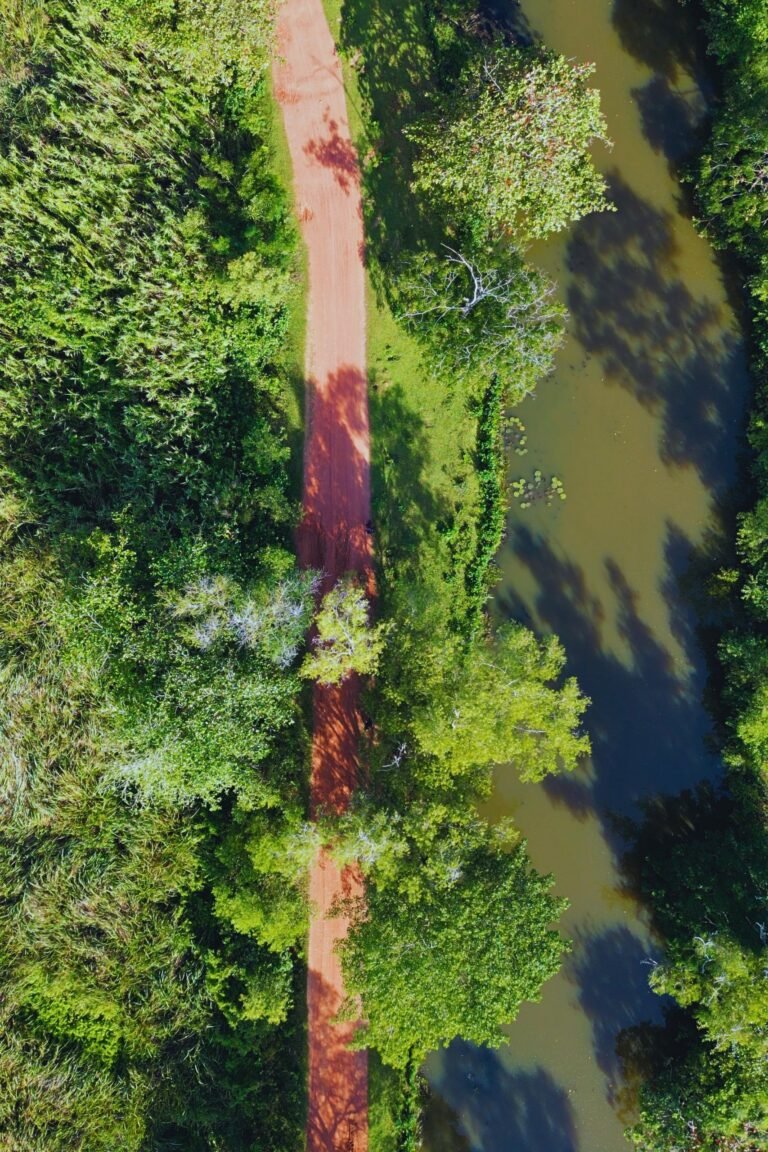 Natural wetland landscape of Kirala Kale Matara