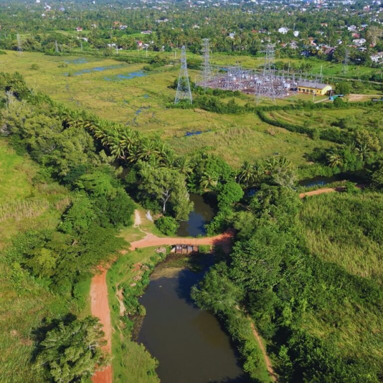 Kirala Kale wetland sanctuary in Matara Sri Lanka
