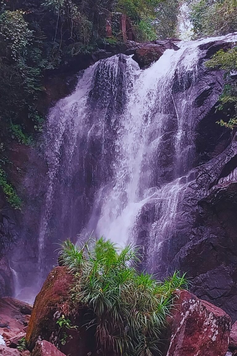 Lankagama Doovili Ella waterfall in Sri Lanka surrounded by lush forest