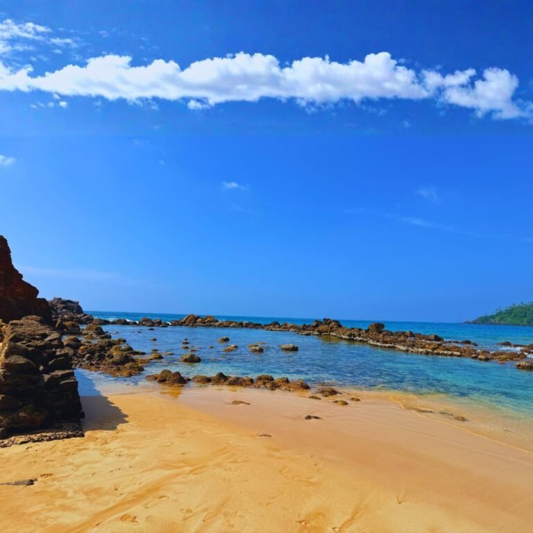 Mirissa Beach famous whale watching destination in Sri Lanka