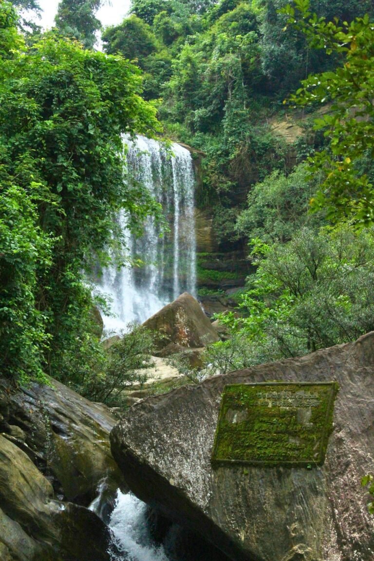 Nalagana Ella waterfall surrounded by lush greenery in Sri Lanka