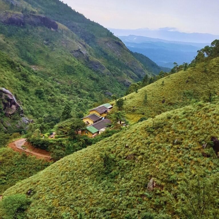 Panoramic landscape of Nonpareil Estate showing rolling hills and tea estates