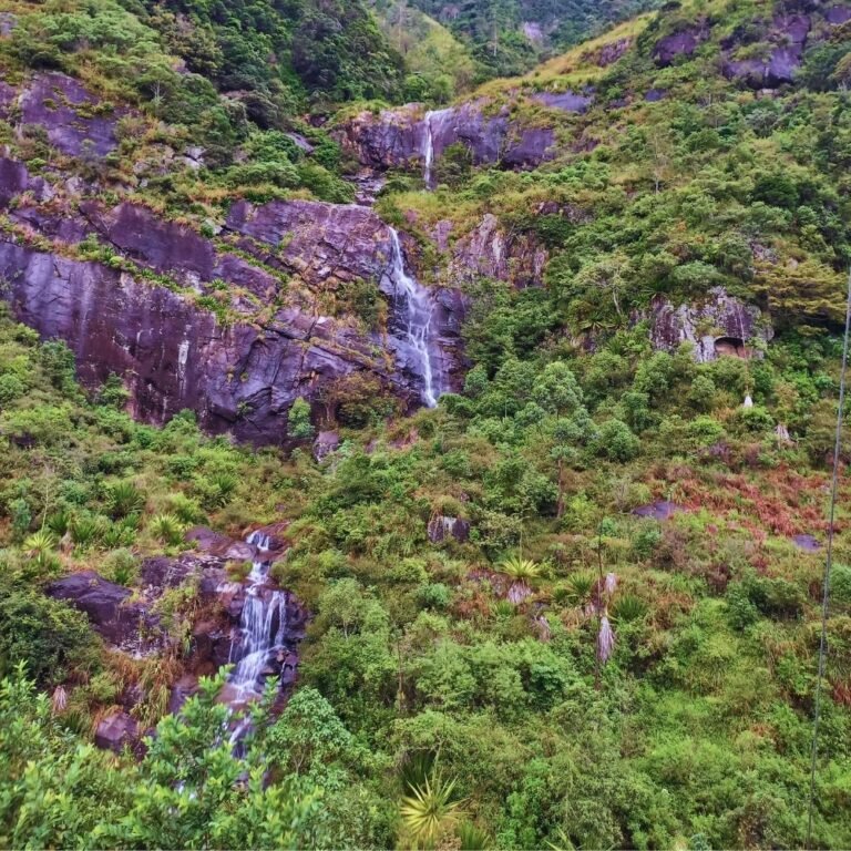 Eco-tourism experience at Nonpareil Estate in the heart of Sri Lanka’s tea region