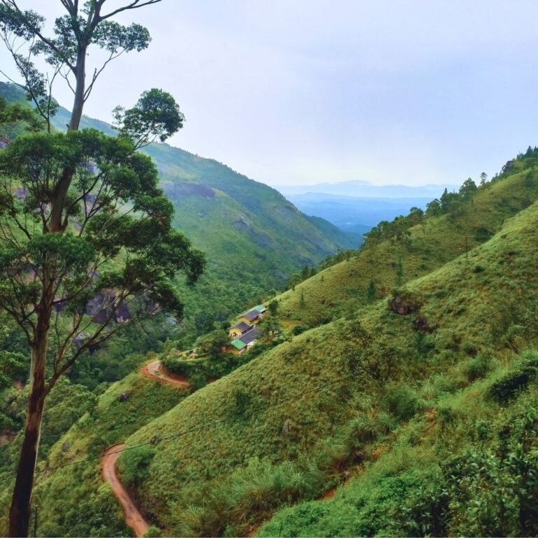 Nonpareil Estate nestled among mist-covered mountains in Sri Lanka
