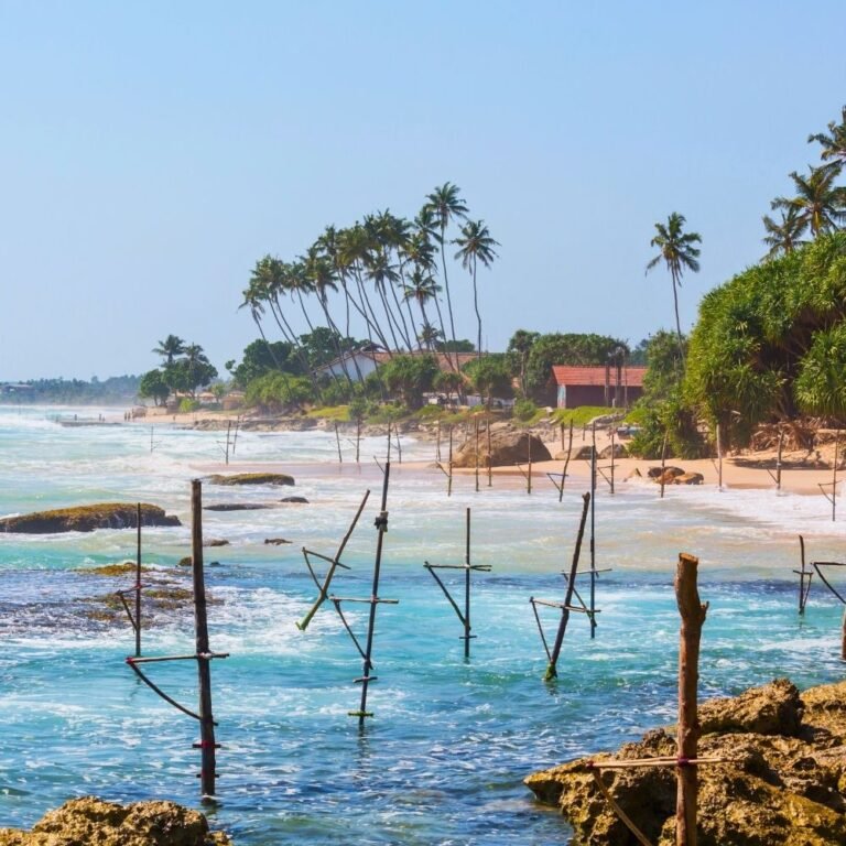 Traditional stilt fishing in Ritipanna, Sri Lanka