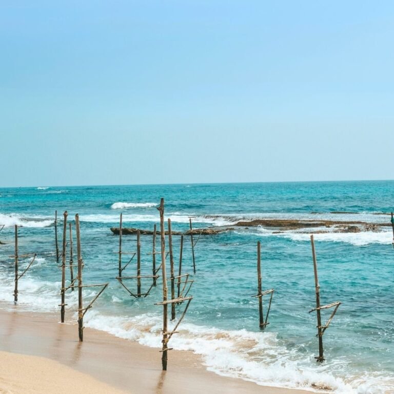 Ritipanna coastal stilt fishing activity