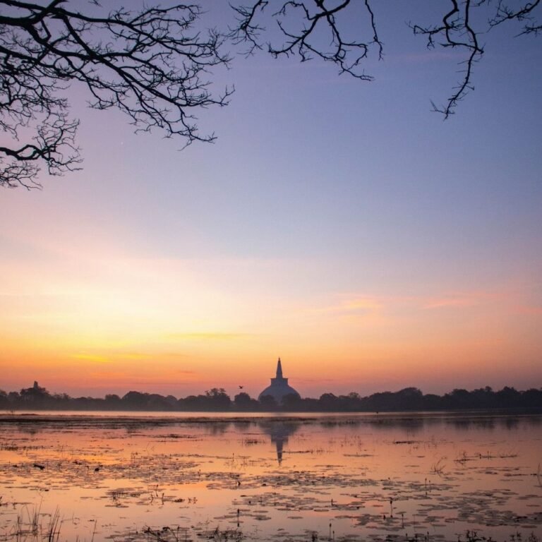 Beautiful view of Basawakkulama lake in Anuradhapura